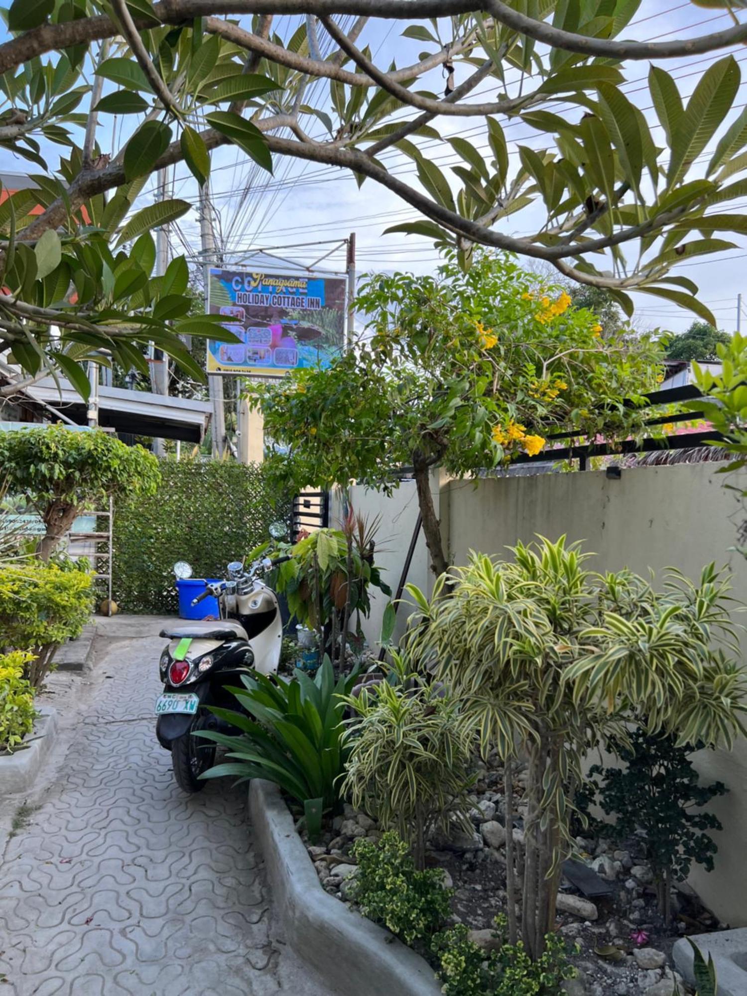 Panagsama Holiday Cottage Moalboal Dış mekan fotoğraf